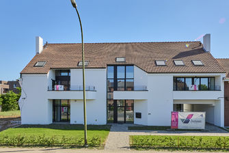 Heide6