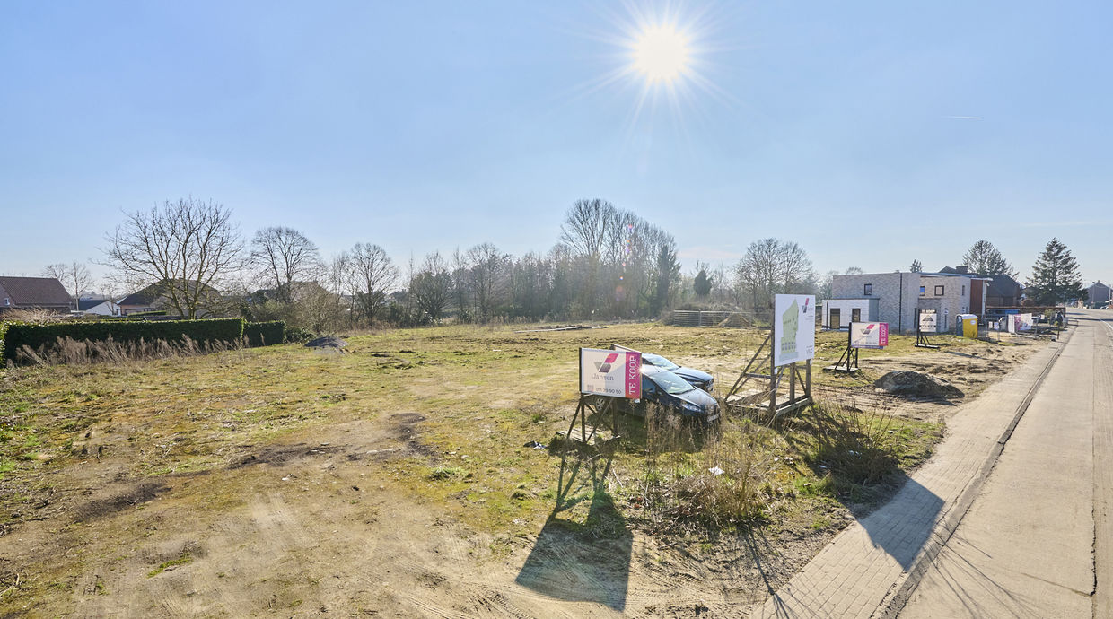 Grond te koop in Maaseik