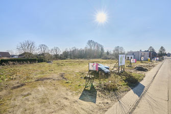 Grond te koop in Maaseik
