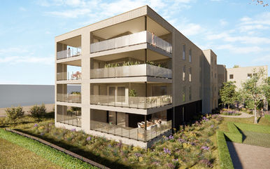 Staatsbaan-Mosstraat Halen